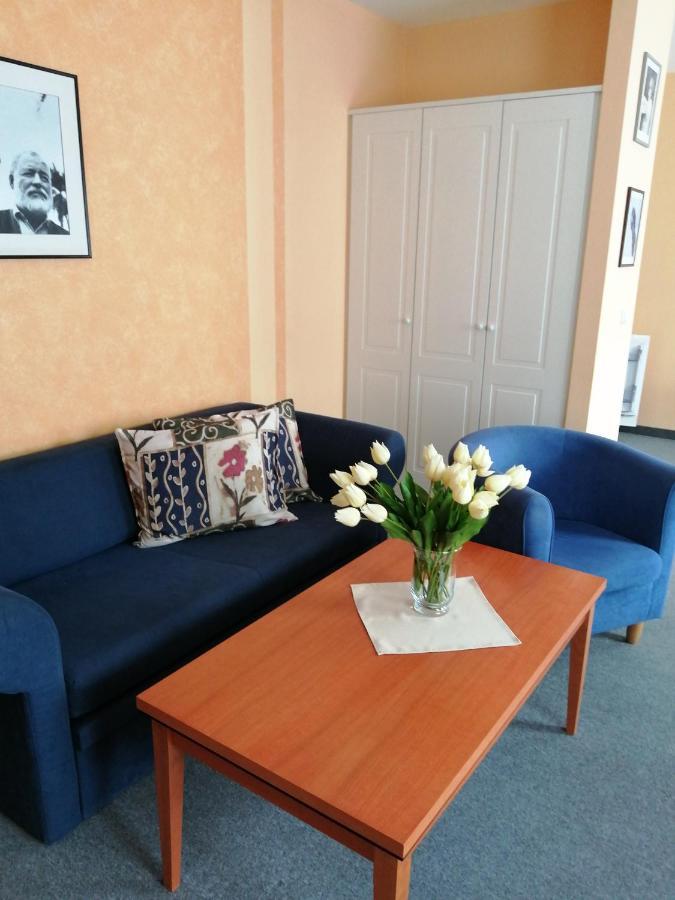 Apartmany Cesky Dvur Mariánské Lázně Kültér fotó